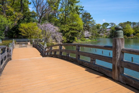 Senzoku Pond