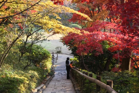 Denenchofu Seseragi Park