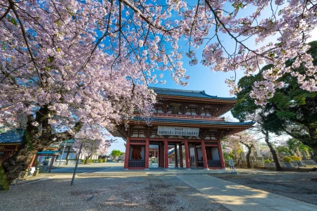 Ikegami Honmonji Temple