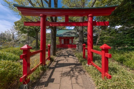 Senzoku Pond