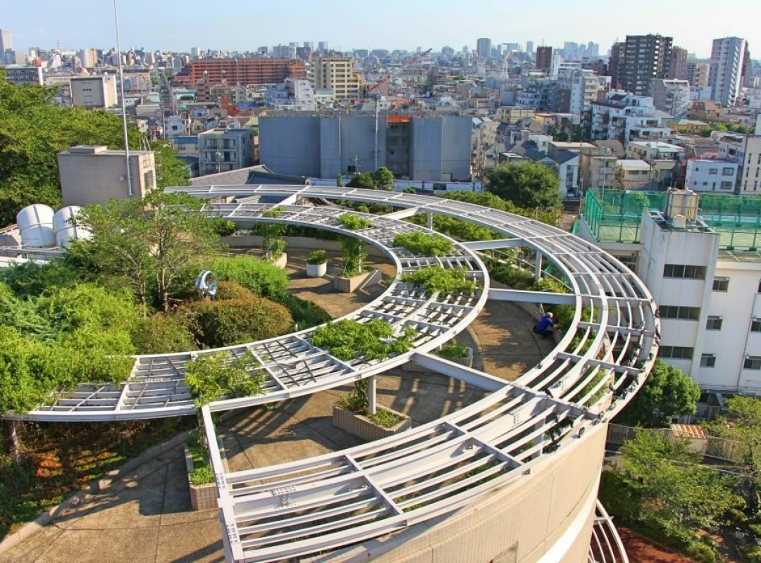 Photo: Ota City