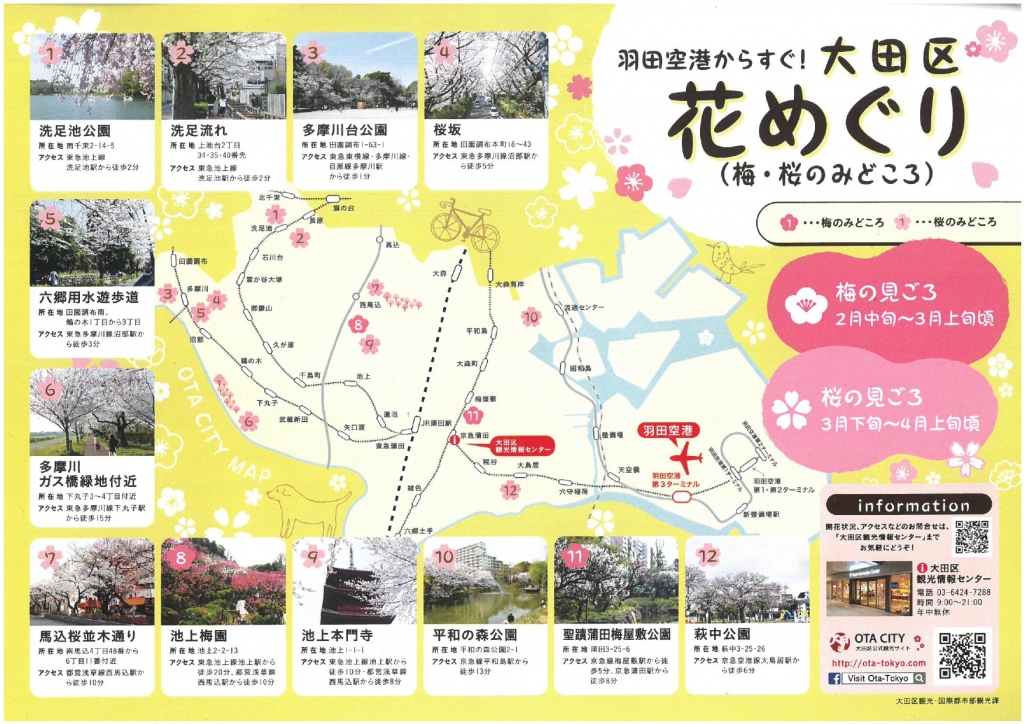 大田区花めぐり 21年の桜はほぼ終了 大田区観光情報センター