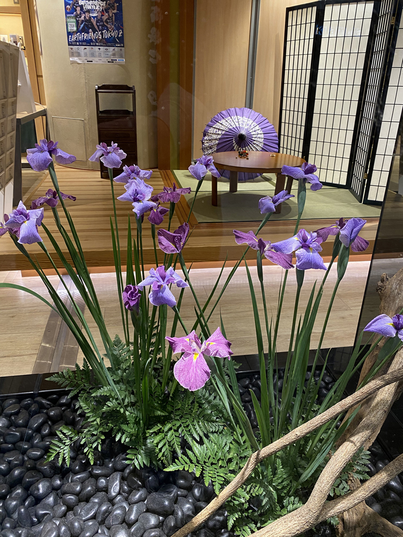 施設を彩る花々 4月の花 大田区観光情報センター