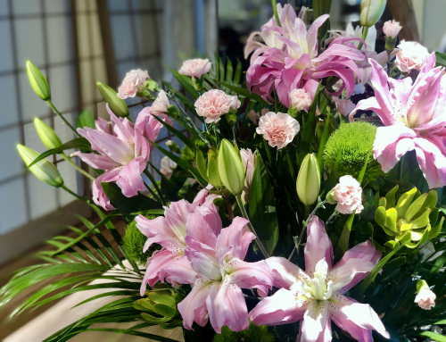 施設を彩る花々（6月の花）