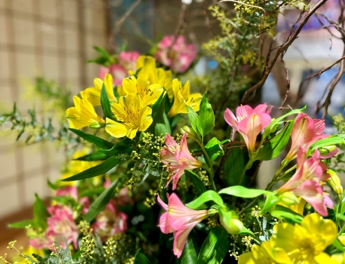 施設を彩る花々（1月の花）