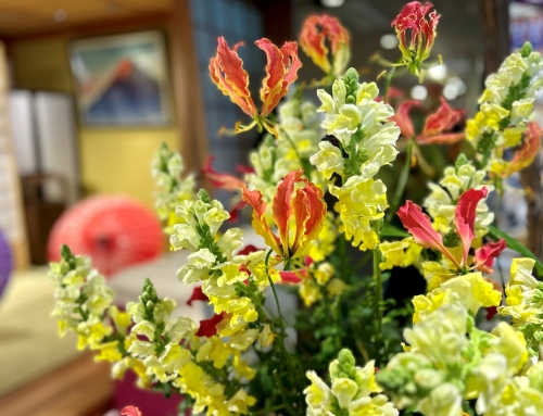施設を彩る花々（2月の花）